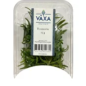 Rosmarin Färsk 15g Växa odling i Sverige.