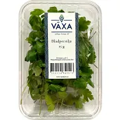 Bladpersilja Färsk 15g Växa odling i Sverige.