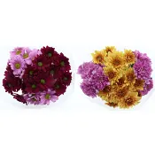 Kvistkrysantemum 4-pack 50cm Rosa Bandet.