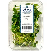 Solrosskott 50g Växa.