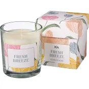 Fylld ljuslykta Tulip ICA.