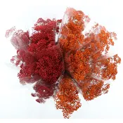 Brudslöja 3 pack färgad 50 cm.