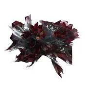 Leucadendron 3 pack 50 cm.