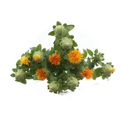 Färgtistel 3 pack 50 cm.