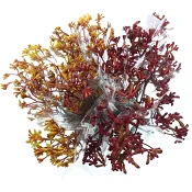 Kängurutass 3 pack 50 cm.