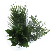 Filler grön mix 50cm (utfyllnadsblad).