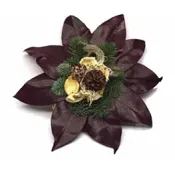 Grav Magnoliasol SE 20cm x8.