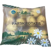 Färskpotatis 900g Stora Mellösa Potatis.