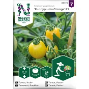 Tomat, Kruk-, Funnyplums Orange F1.
