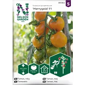 Tomat, Hög, Merrygold F1 Nelson Garden.