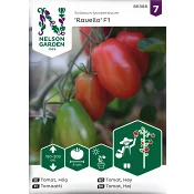 Tomat, Hög, Ravello F1 Nelson Garden.
