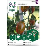 Tomat, Hög, Shimmer F1 Nelson Garden.