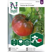 Tomat, Hög, Noire de Crimée Nelson Garden.