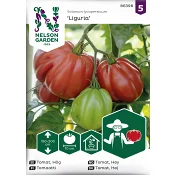 Tomat, Hög, Liguria Nelson Garden.