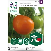 Tomat, Hög, Orange Wellington F1 Nelson Garden.