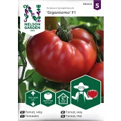 Tomat, Hög, Gigantomo F1 Nelson Garden.