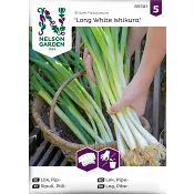 Lök, Pip, Long White Ishiku, såband Nelson Garden.