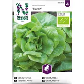 Sallat, Huvud, Suzan, Organic Nelosn Garden.
