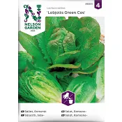 Sallat, Romersk-, Lobjoits Green Nelson Garden.