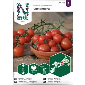 Tomat, Ampel-, Gartenperle Nelson Garden.