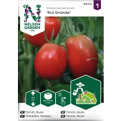 Tomat, Busk-, Rio Grande Nelson Garden.