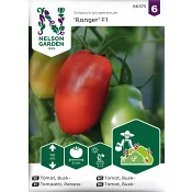 Tomat, Busk-, Ranger F1 Nelson Garden.