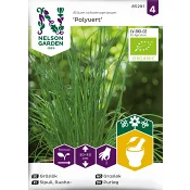 Gräslök, Vanlig, Polyvert, Organic Nelson Garden.