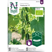 Gurka, Kruka, Kaikura F1, Organic Nelson Garden.
