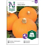 Pumpa, Baby Bear, Mini Nelson Garden.