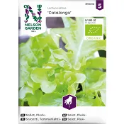 Sallat, Plock, Catalonga, Organic Nelson Garden.