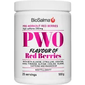 PWO Red Berries Pulver 500g BioSalma.