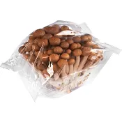 Shimeji brun 150g Klass 1.