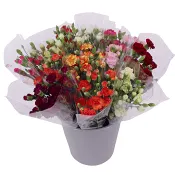 Kvistnejlikor 9 pack 50 cm mix.