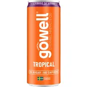 Läsk Tropical Gowell 33cl Gowell.