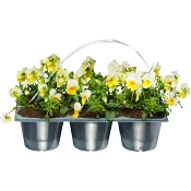 Pense tvåfärgad 6-p.