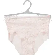 Spetstrosa rosa L Dorina.