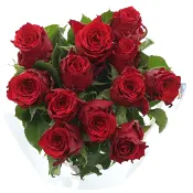 ICA Rosor 12 pack röd 50 cm Fair trade.