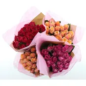 Rosor 20 pack 40 cm.