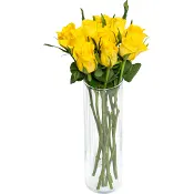 Rosor 10-p 40cm Fairtrade gula ICA.