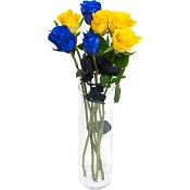 Rosor 7-p 50cm gul-blå.