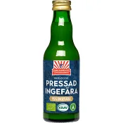 Pressad ingefära 200ml KRAV Kung Markatta.