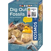 Dig Out Fossils Science Kit KOSMOS.