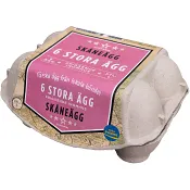 Ägg Skåne Frigående 6-p Stjärnägg.