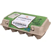 Utehönsägg M 15-p Stjärnägg.