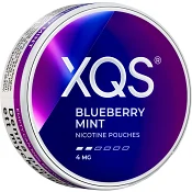 XQS Blueberry Mint Light 4mg 10g.
