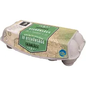 Utehönsägg Skåne M/L 10-p Stjärnägg.