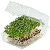 Krasse Smörgås EKO 8st Plastask Klass 1.