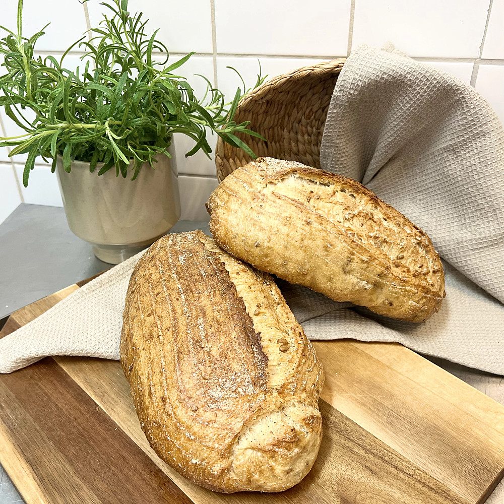Solros levain