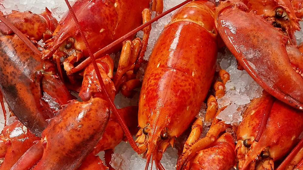 Färsk fisk och skaldjur