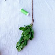 En kvist med blad och en trådrulle ligger på ett tygunderlag.